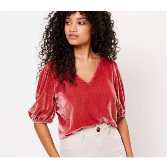 Loft Plus Crushed Velvet Puff Sleeve Top Coastal Classic Size 14 Cottage - Picture 1 of 8